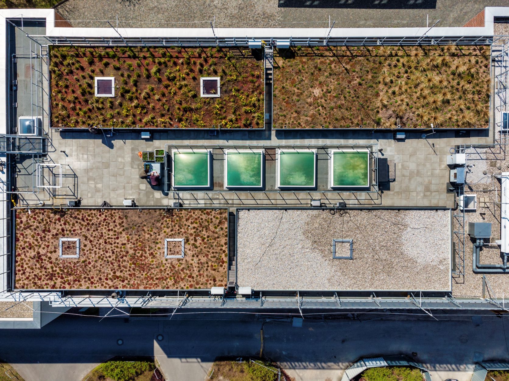 A bird's eye view of the Research Green Roof (Photo: A. K&uuml;nzelmann, UFZ)